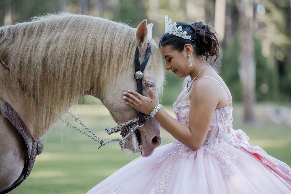 Pink ballgown being photographed with a horse in a lush green outdoor setting.