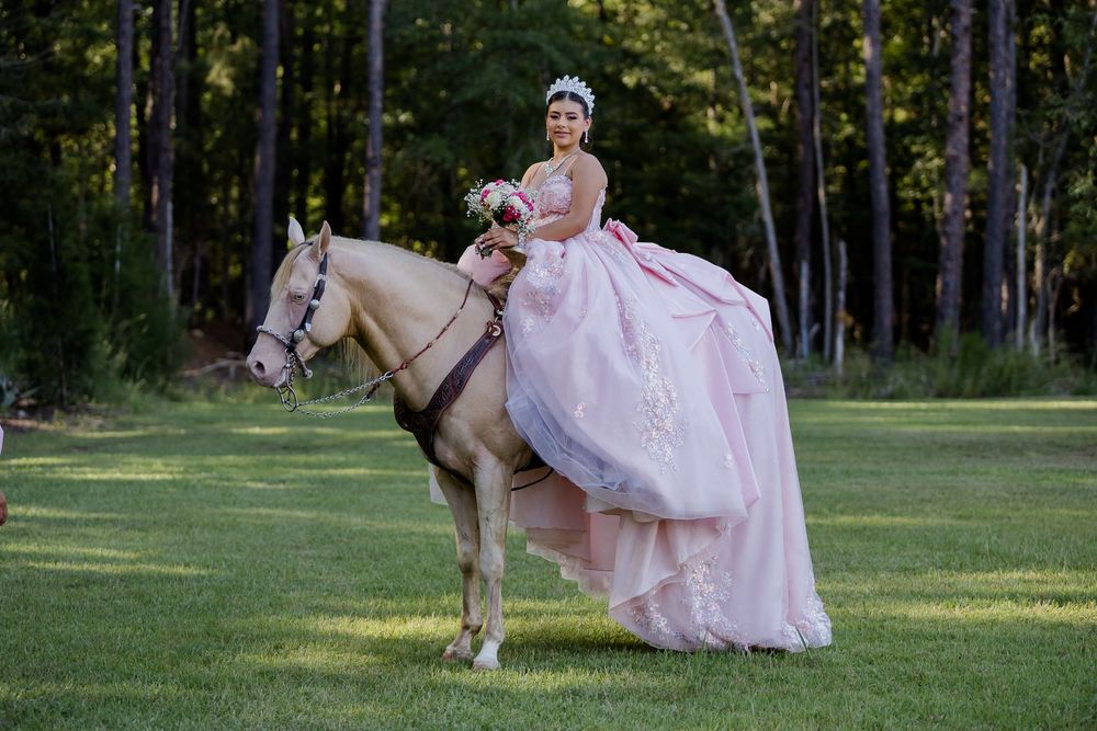 Someone in an elegant pink ball gown sits sidesaddle on a white horse in a serene wooded setting.