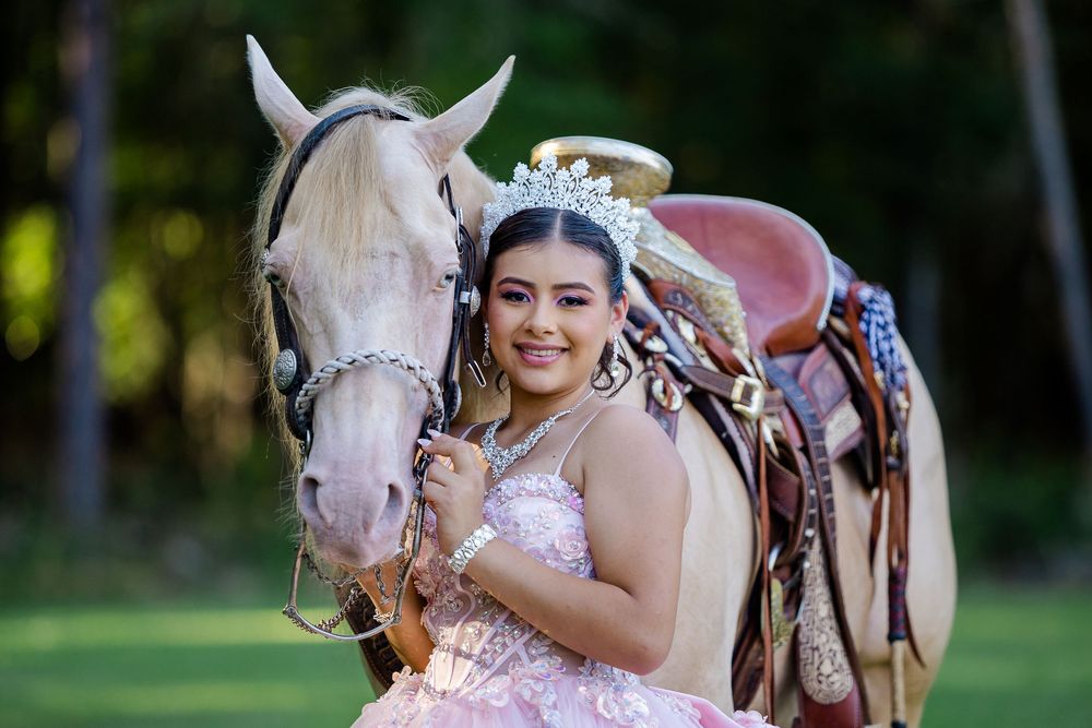 Person in pink gown poses with a white horse in a sunny outdoor setting.