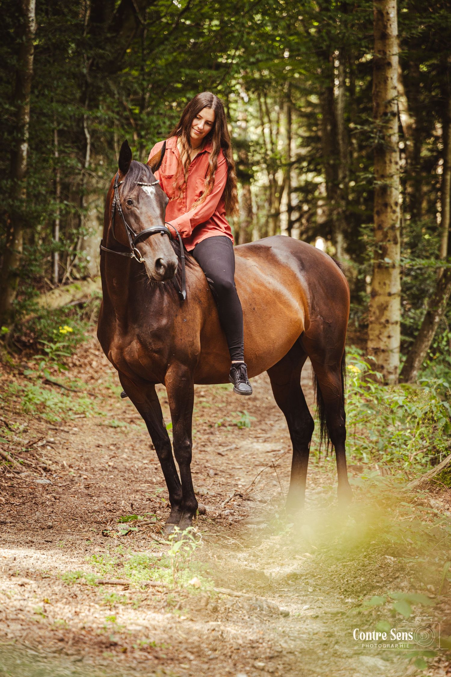 Séance photo particulier cheval