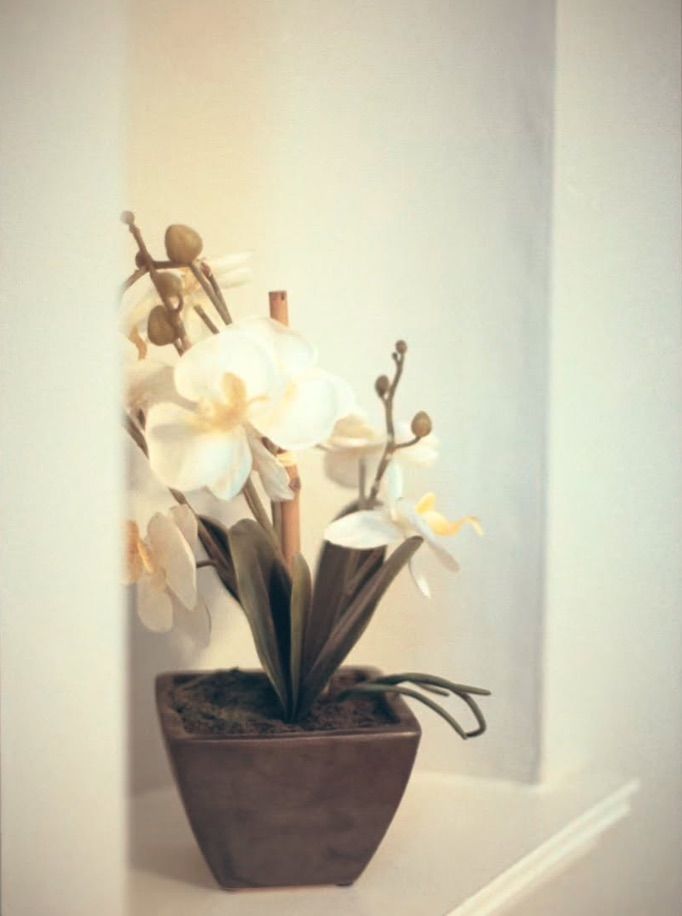 White Orchid in Christ Church Fox Chapel Pittsburgh Pennsylvania shot on vintage 35mm film wedding photography.