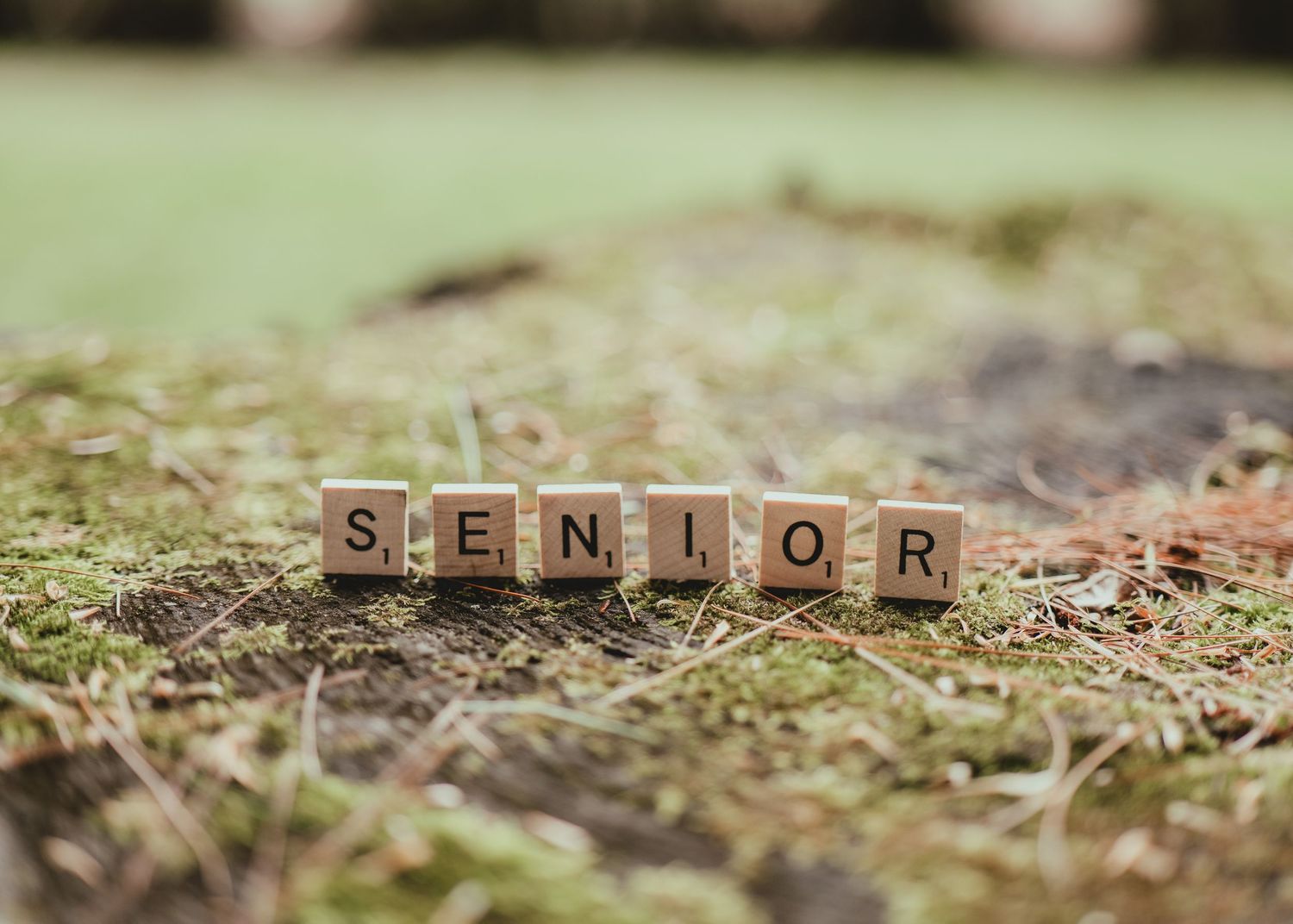 senior portrait