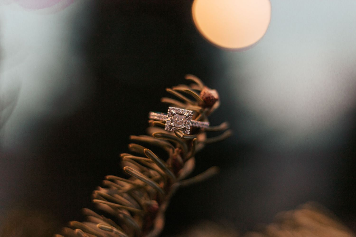 Diamond engagement ring and wedding band resting on a pine branch | Westminster Colorado Proposal Photographer