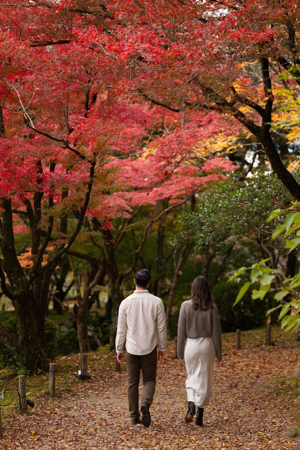 Couple walks hand in hand along a leaf-covered path beneath vivid red Japanese maple trees in autumn.