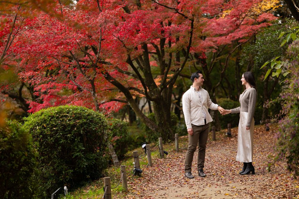 Couple holds hands facing each other on a fallen-leaf path surrounded by stunning red autumn maple trees.