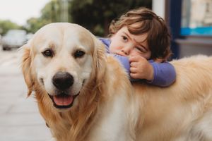 A young child hugs a happy Golden Retriever dog outdoors on a sunny day.