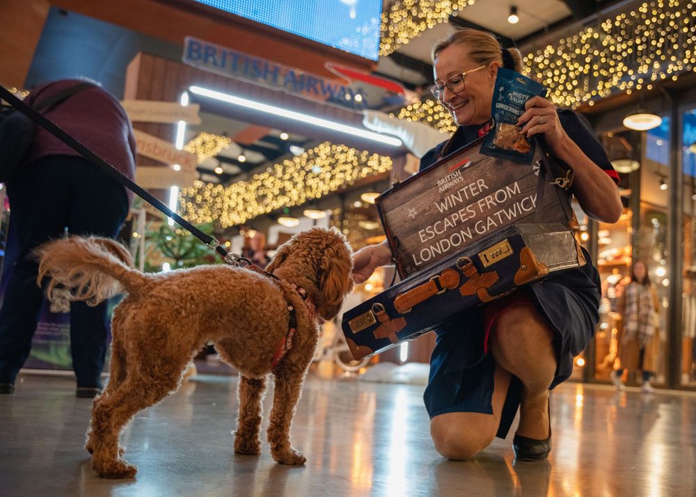 Golden-colored dog on leash in shopping mall with holiday lights.