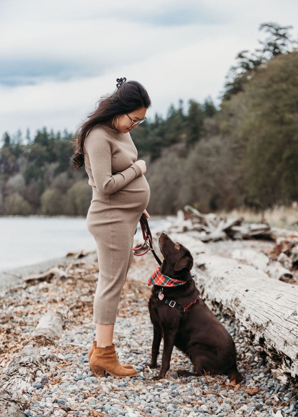 A chocolate Labrador sits attentively on a rocky beach beside someone wearing a beige sweater and brown boots.