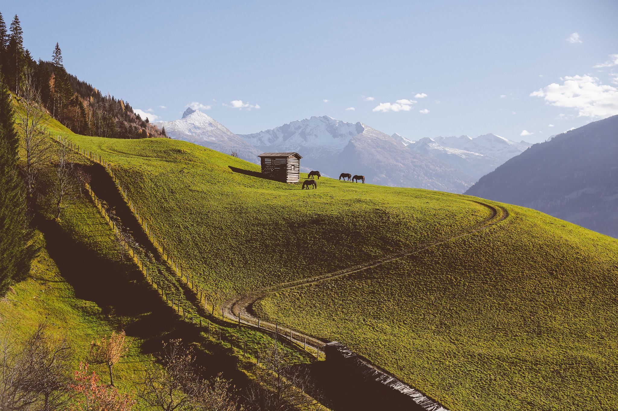 Rolling green hillsides with small wooden huts dot the scenic mountain landscape in the Swiss Alps.