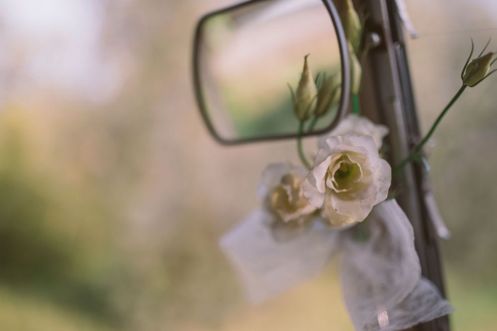 A delicate white orchid flower blooms against a soft blurred background in natural lighting.