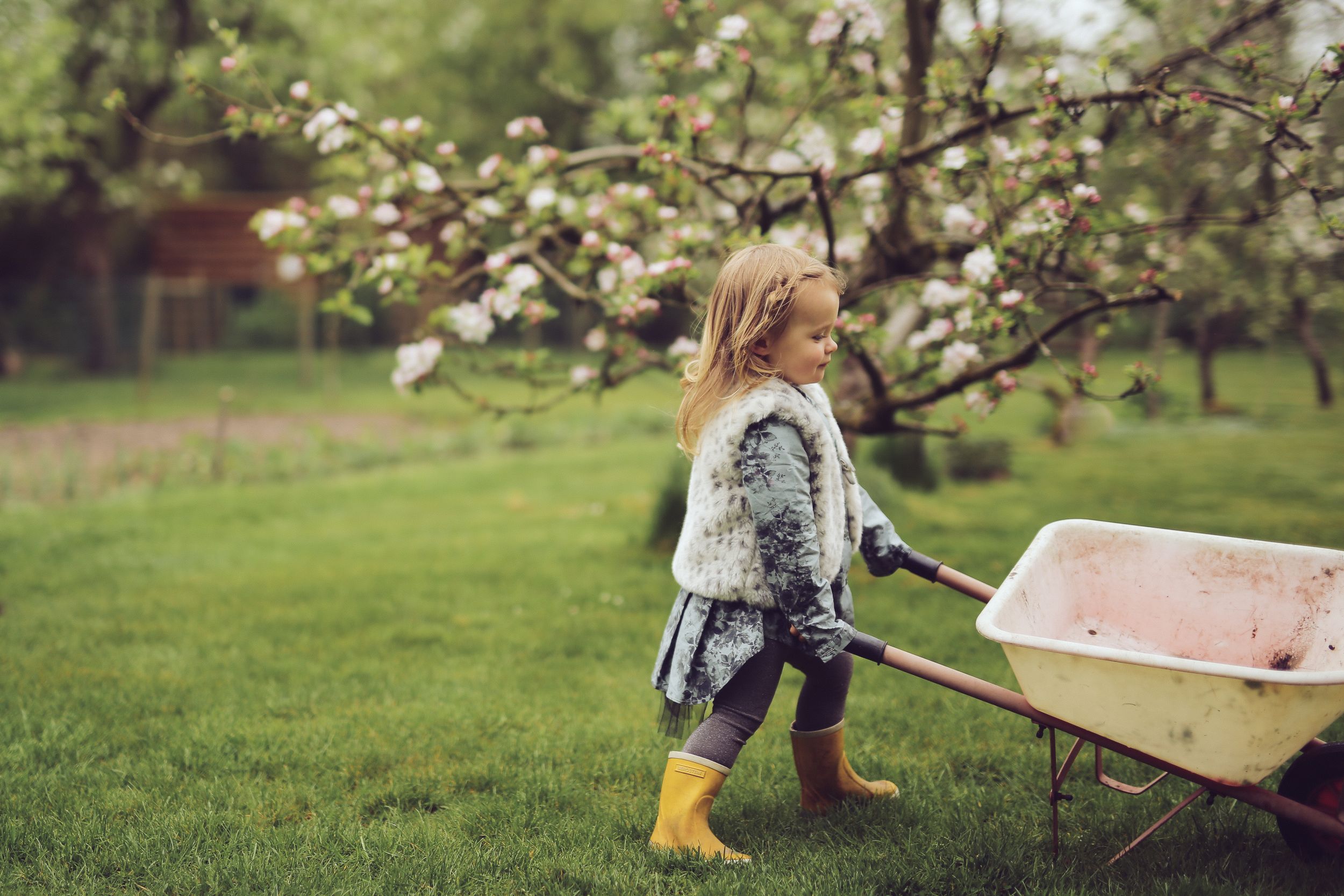 Young girl in yellow rain boots pushing a wheelbarrow in a lush green garden with blooming trees.