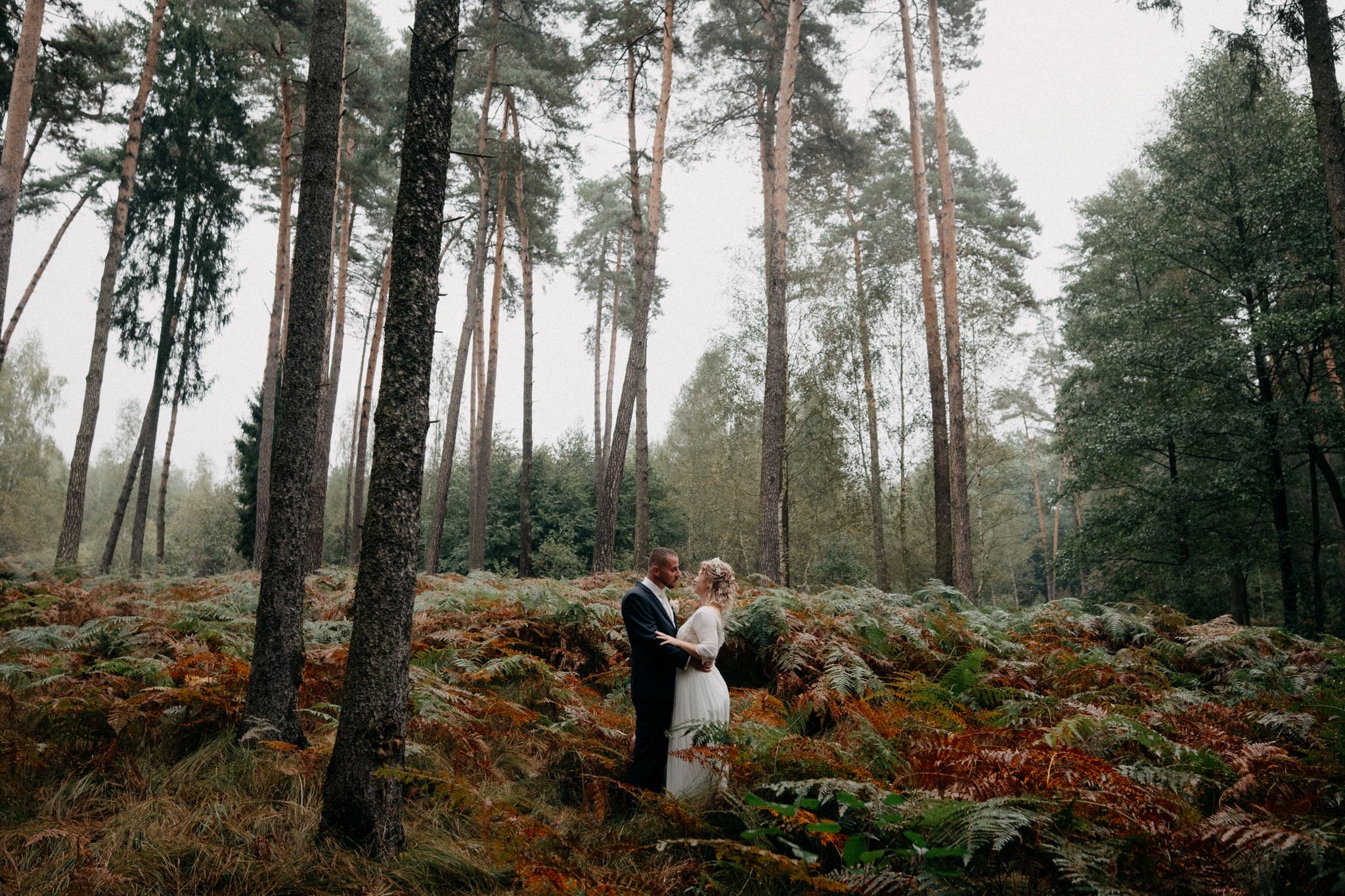 Misty pine forest with tall trees creates a romantic woodland setting for a wedding shoot.