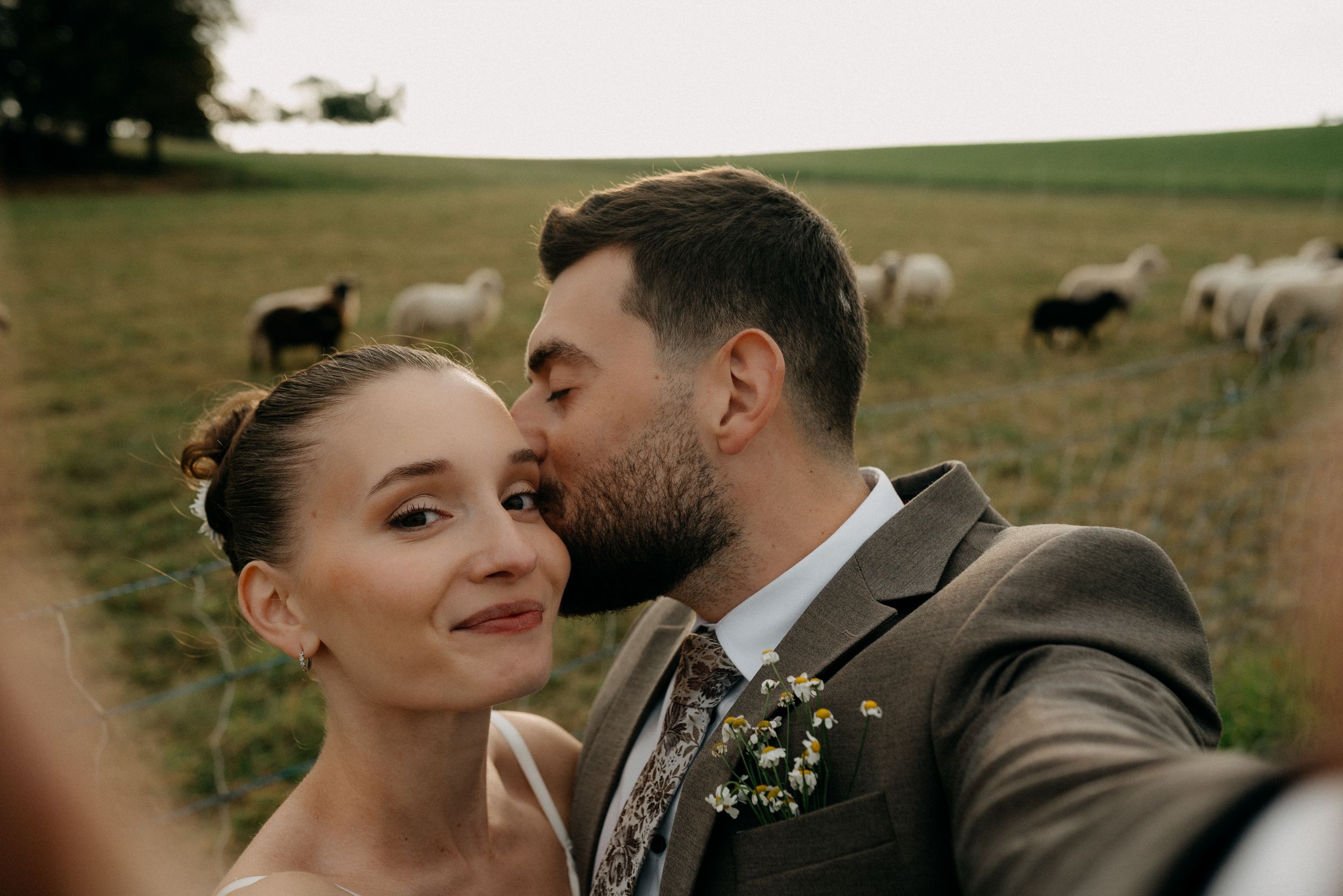 Bride and groom share a tender cheek kiss in a green pasture with grazing sheep, the groom wearing a boutonniere on his suit.