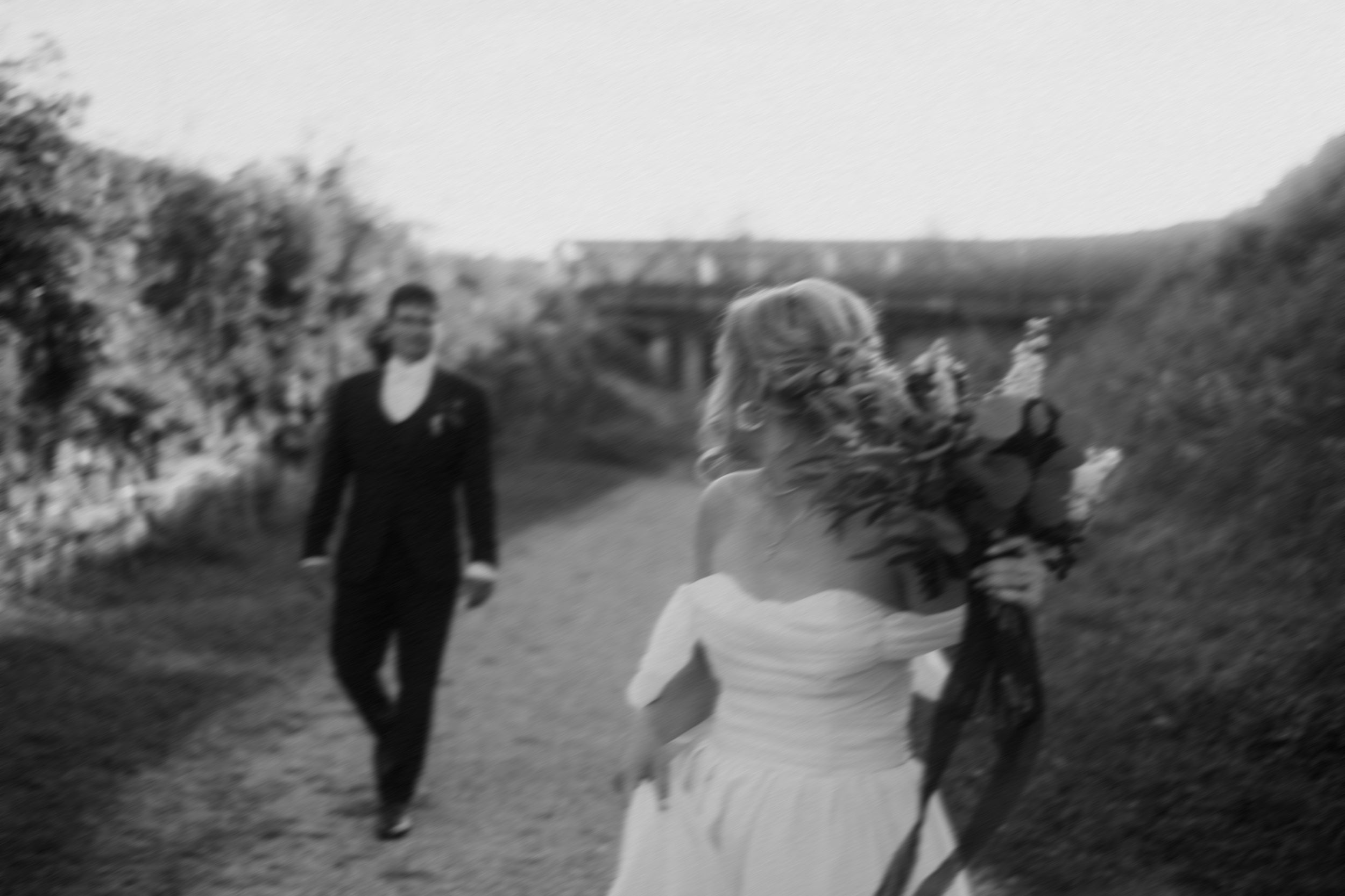 A black and white photo collage shows people walking outdoors on a country path in vintage wedding attire.