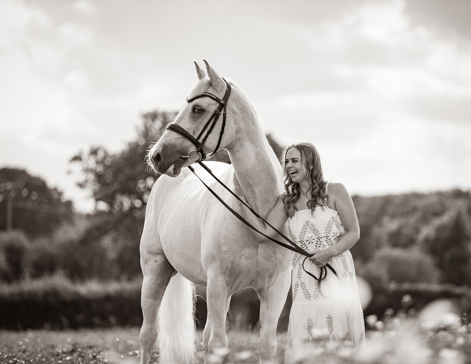 A series of seven photos showing a white horse and rider interacting at a wooden fence in an outdoor setting.