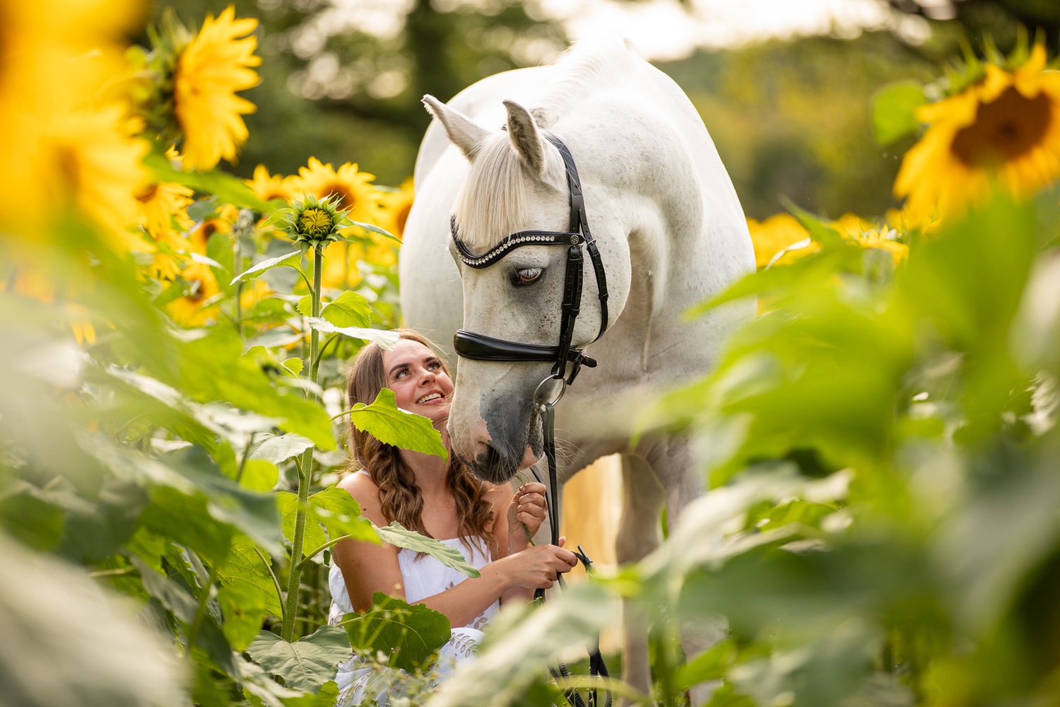A horse and its rider enjoy an outdoor photoshoot session near rustic wooden fencing on a sunny day.