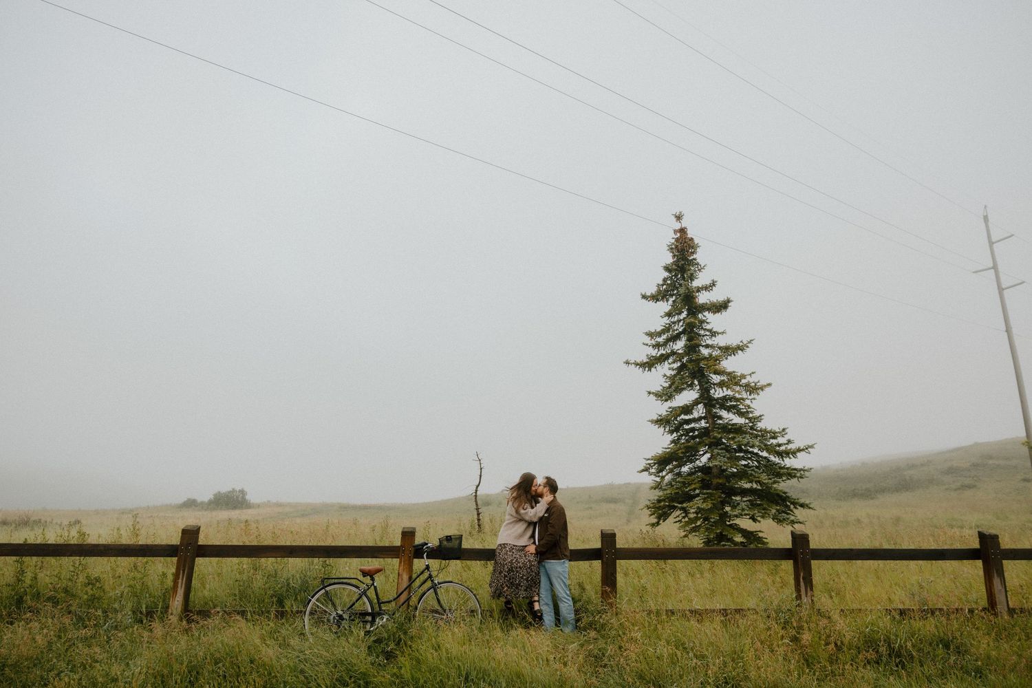 Rolling hills and grasslands stretch into the distance under a cloudy sky with a lone evergreen tree.