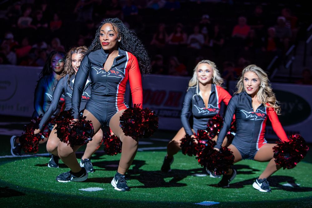 Jacksonville Sharks Attack Dance Team