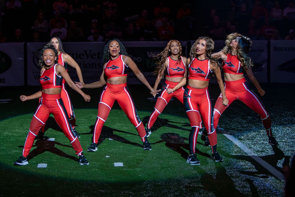 Jacksonville Sharks Attack Dance Team
