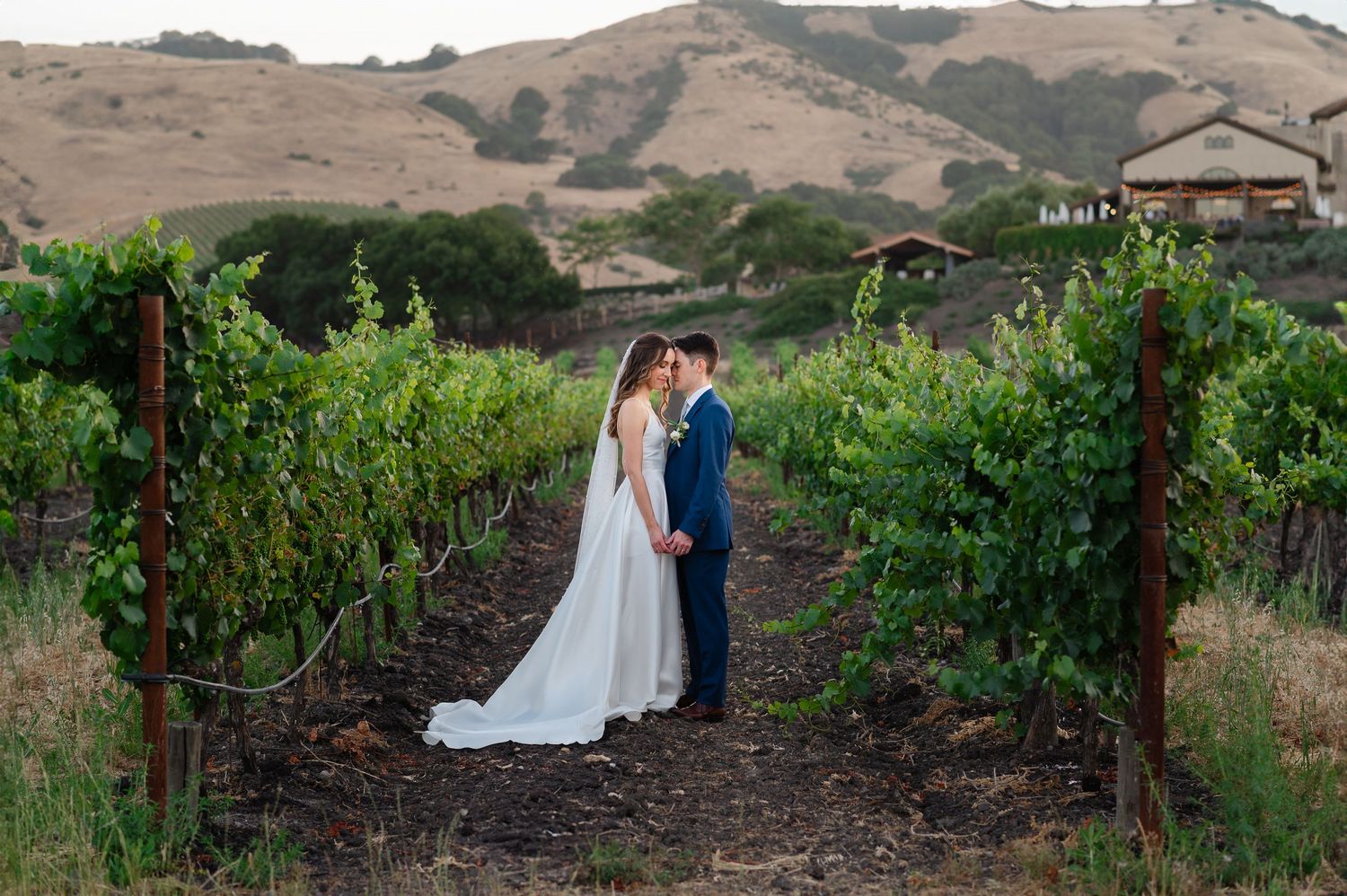 Outdoor wedding ceremony under string lights with bridal party overlooking scenic valley landscape.