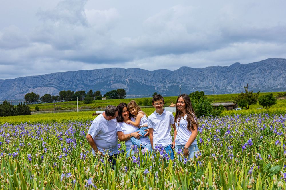 Famille allongée dans un champ d’iris avec la Sainte-Victoire en arrière-plan