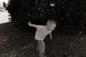 Black and white photo of a young boy running and leaning forward outdoors near a large evergreen tree.
