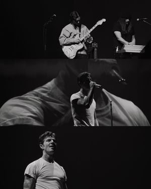 Black and white concert triptych showing guitarist, singer, and close-up performer.