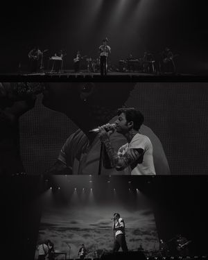 Black and white collage of live concert performance showing band on stage and close-up of vocalist.