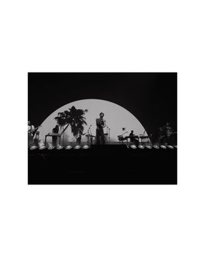 Band performs on stage beneath large semicircular backdrop with palm tree silhouette in black and white.