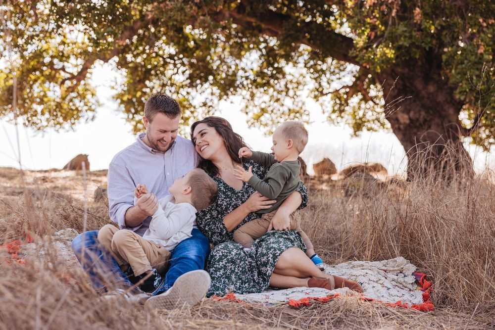 Happy family of four enjoying a sunny outdoor picnic under a tree in a golden field.