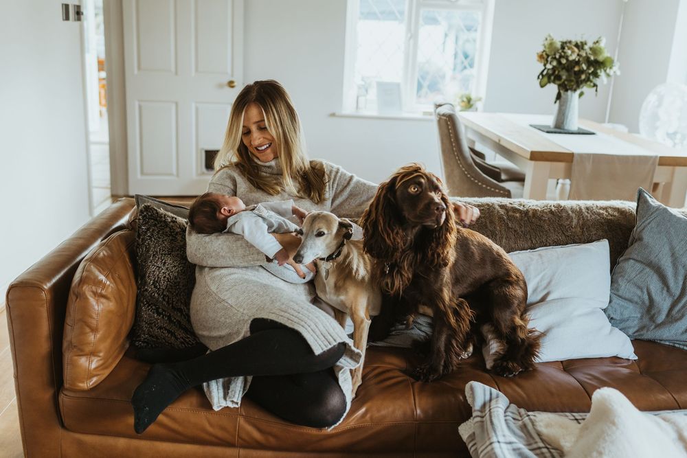 Dorset newborn photography at home with dogs and mum