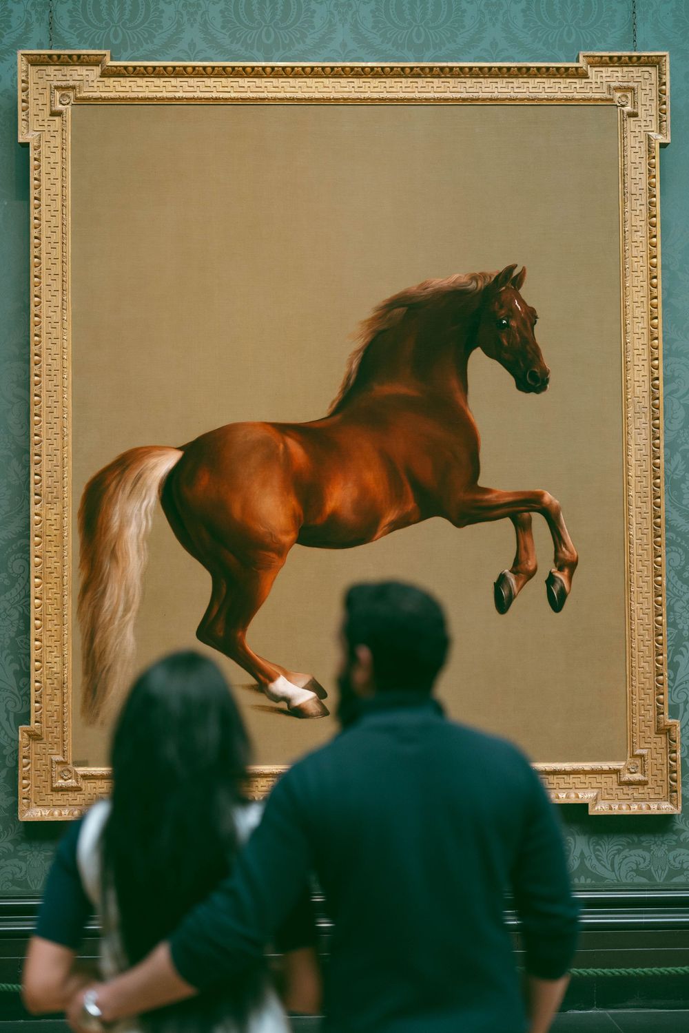 Couple viewing George Stubbs painting of a rearing chestnut horse in a museum.