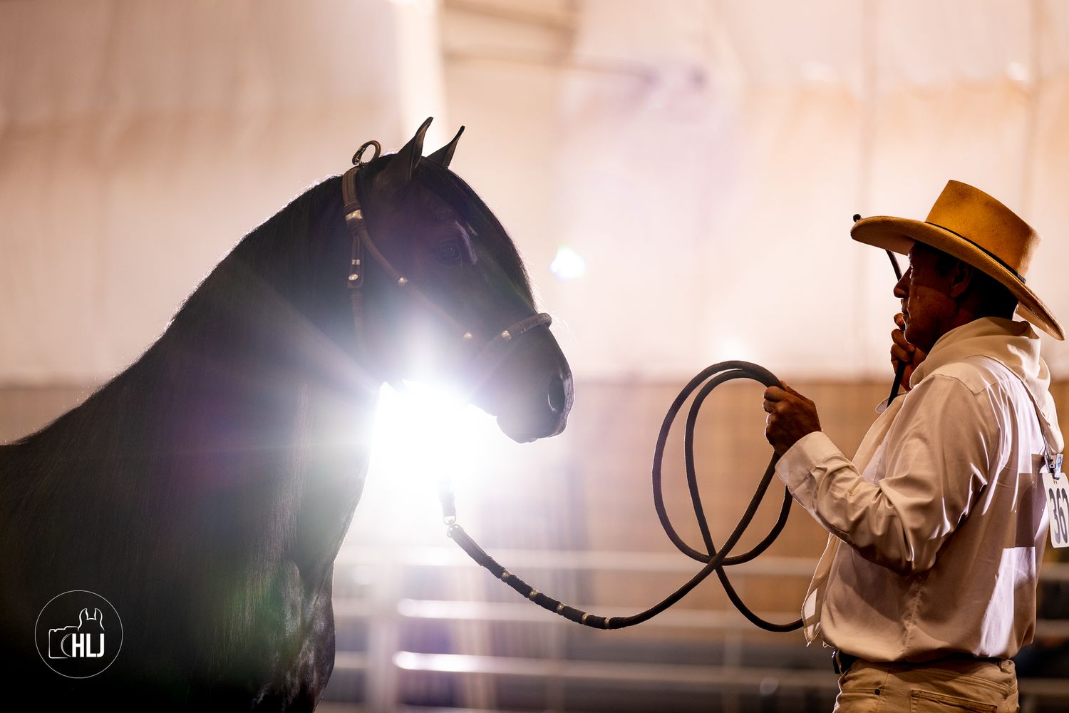 A cowboy in a hat holds a rope lead while a dark horse faces him under bright arena lights.