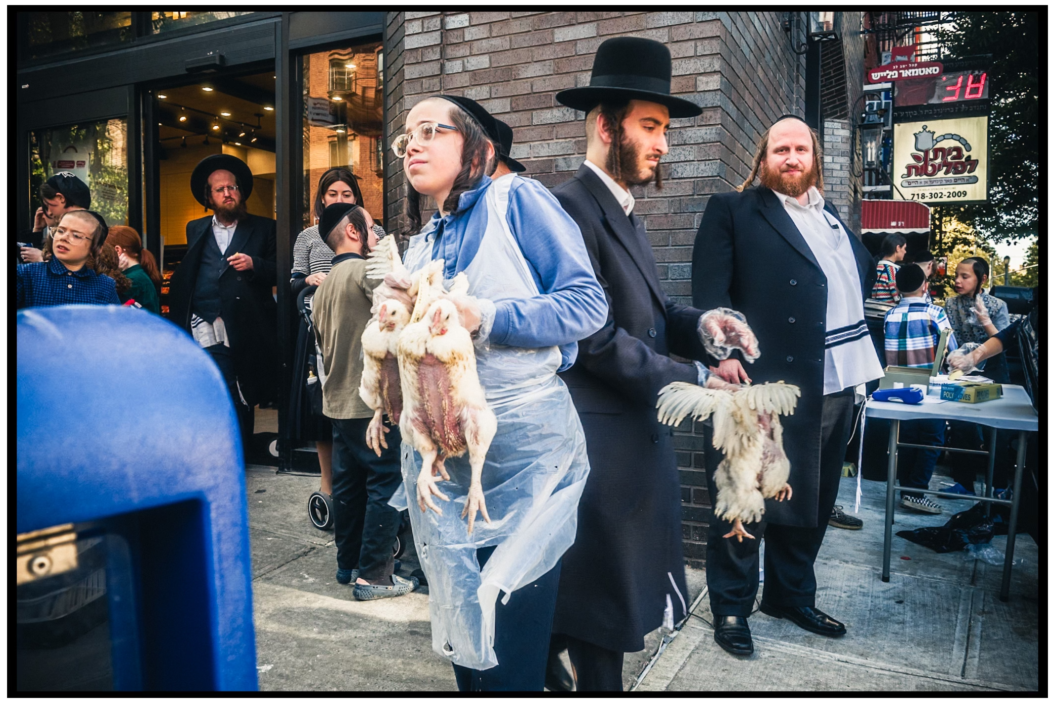 Orthodox Jewish men gather on a city street carrying chickens for a religious ceremony. Kapparot, Brooklyn NYC