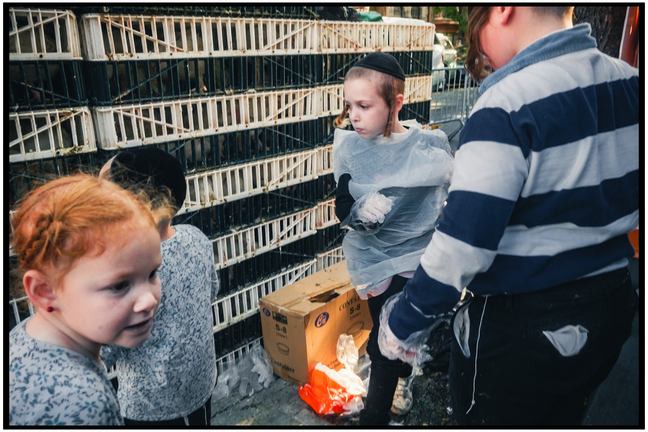 Children observe crates and cages stacked against a wall during a religious ceremony. Kapparot, Brooklyn NYC