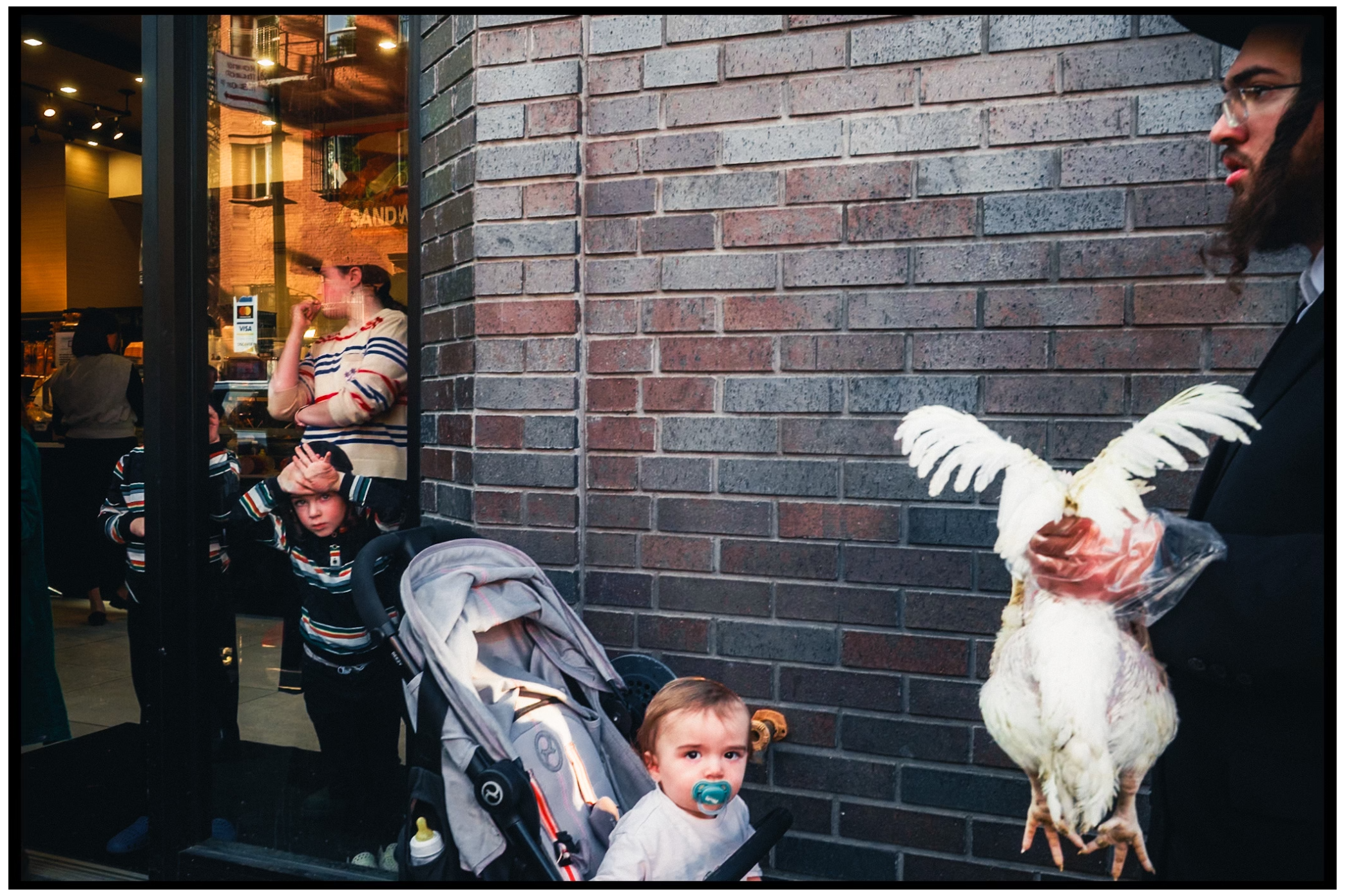 White chickens being held near a brick wall during a religious ceremony. Kapparot, Brooklyn NYC