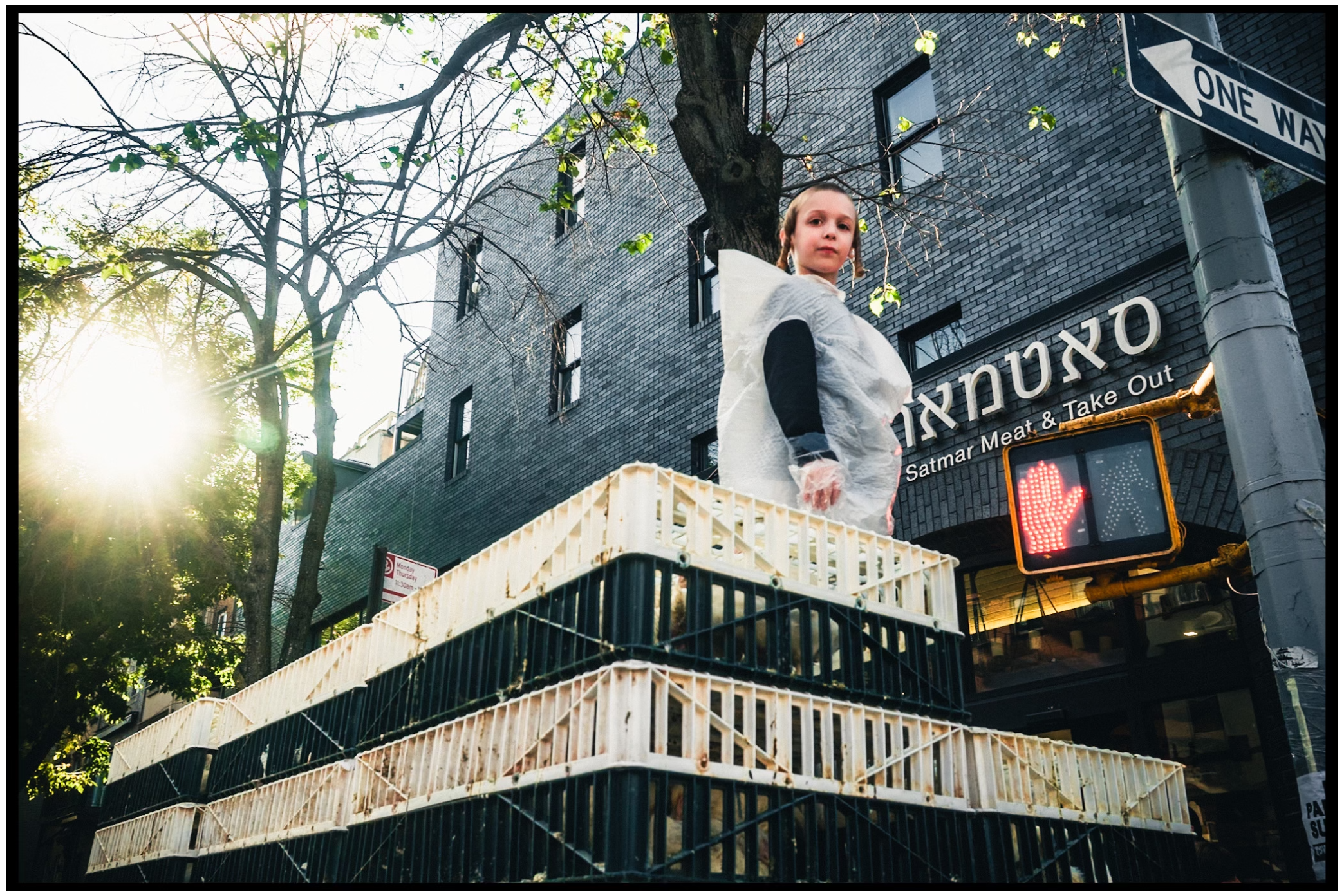 Low angle shot of a building exterior with sunburst through trees and signage visible. Kapparot, Brooklyn NYC