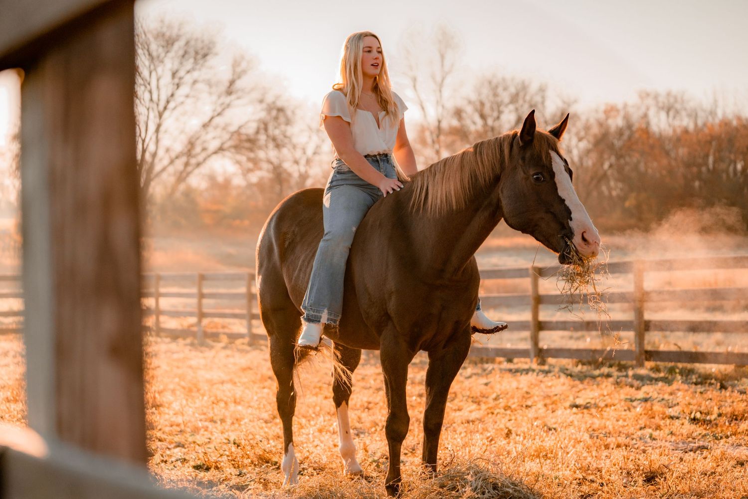 Person riding dark horse in peaceful sunset setting at rustic farm.