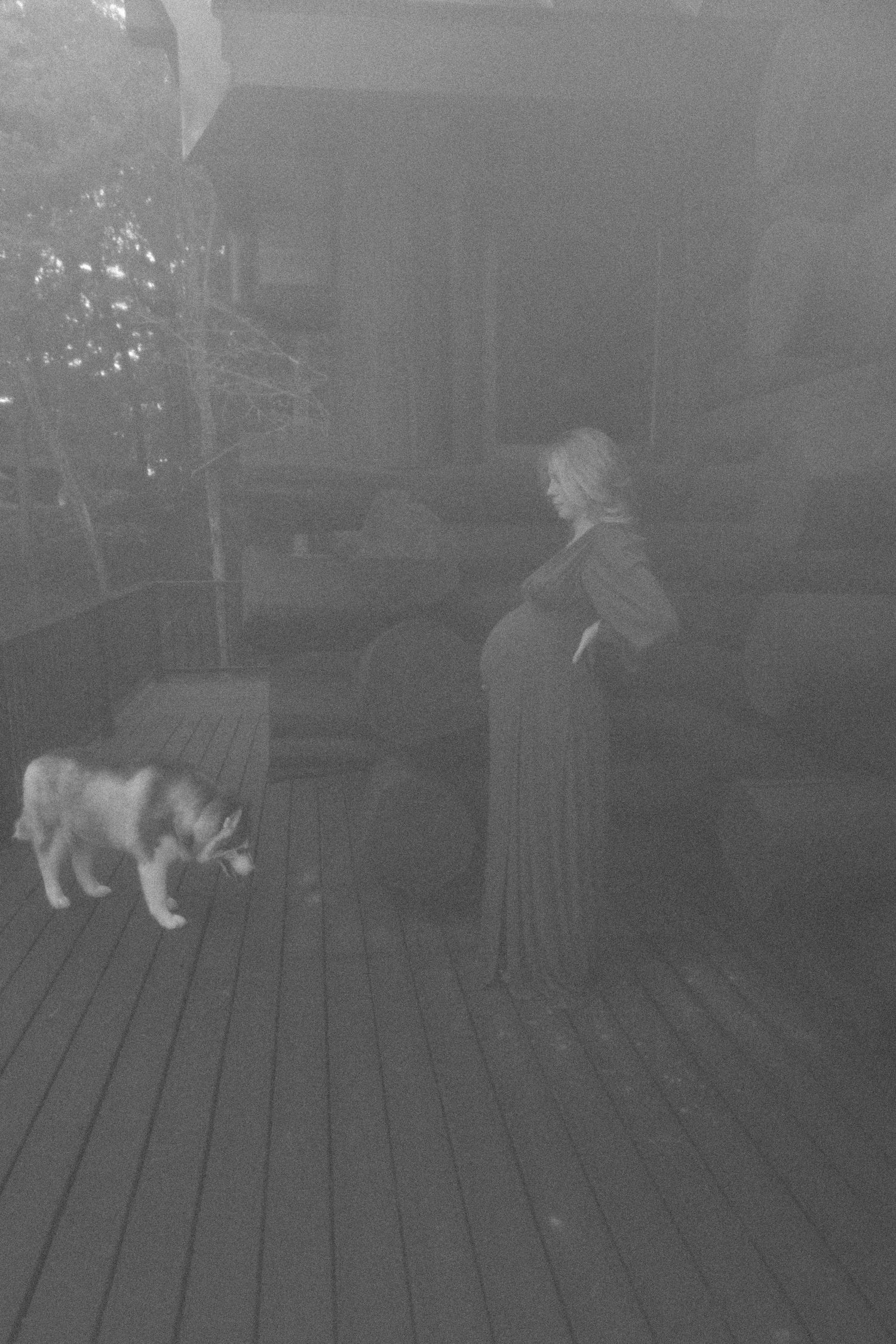 A misty evening scene with a pregnant silhouette and dog on a wooden deck.
