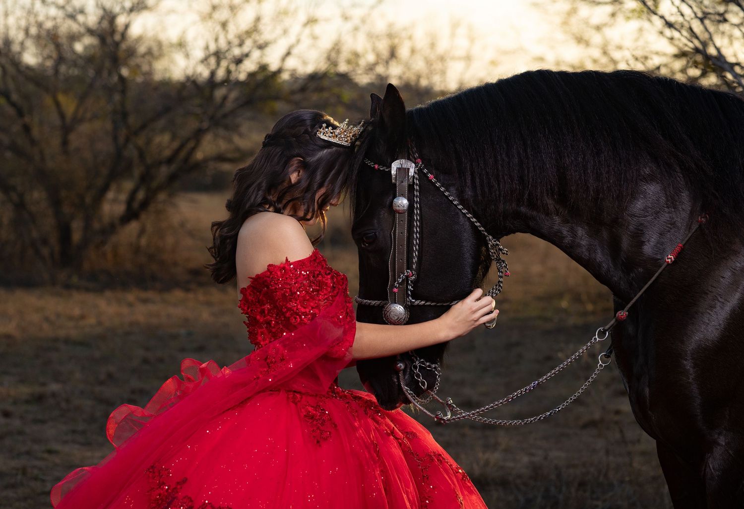 A person in a lavender formal gown stands with a black horse in a sunlit field during golden hour.