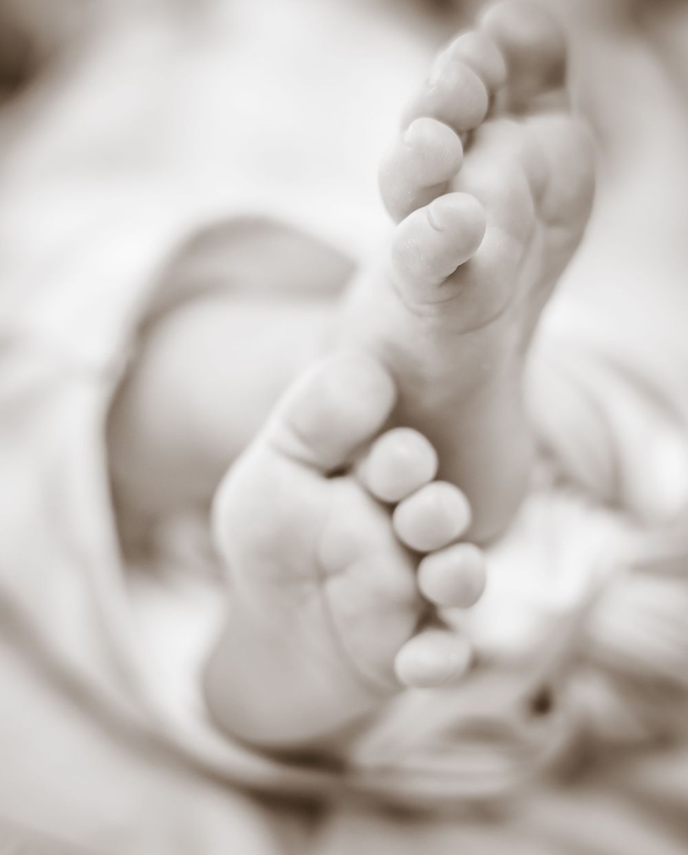 Artistic black and white macro shot of baby feet in soft focus.
