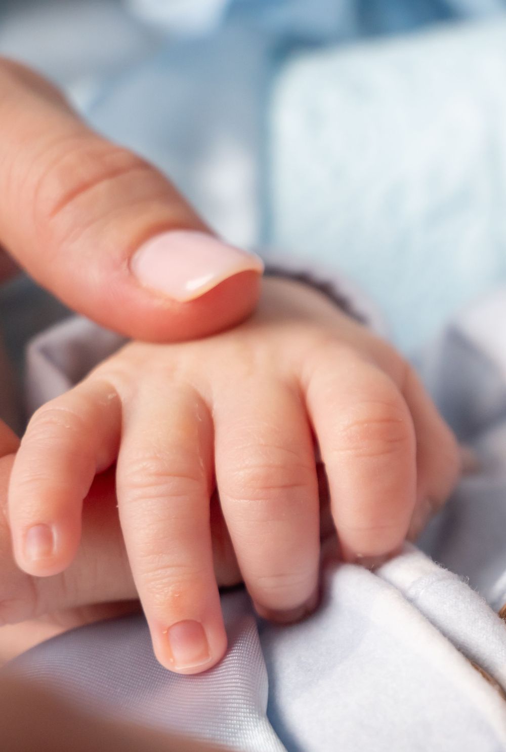 Delicate newborn fingers shown in gentle detail against a soft white background.