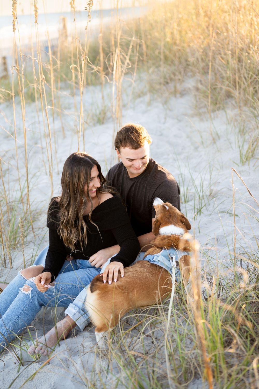 Couple sitting together with their dog on sandy beach at sunset among tall grass.