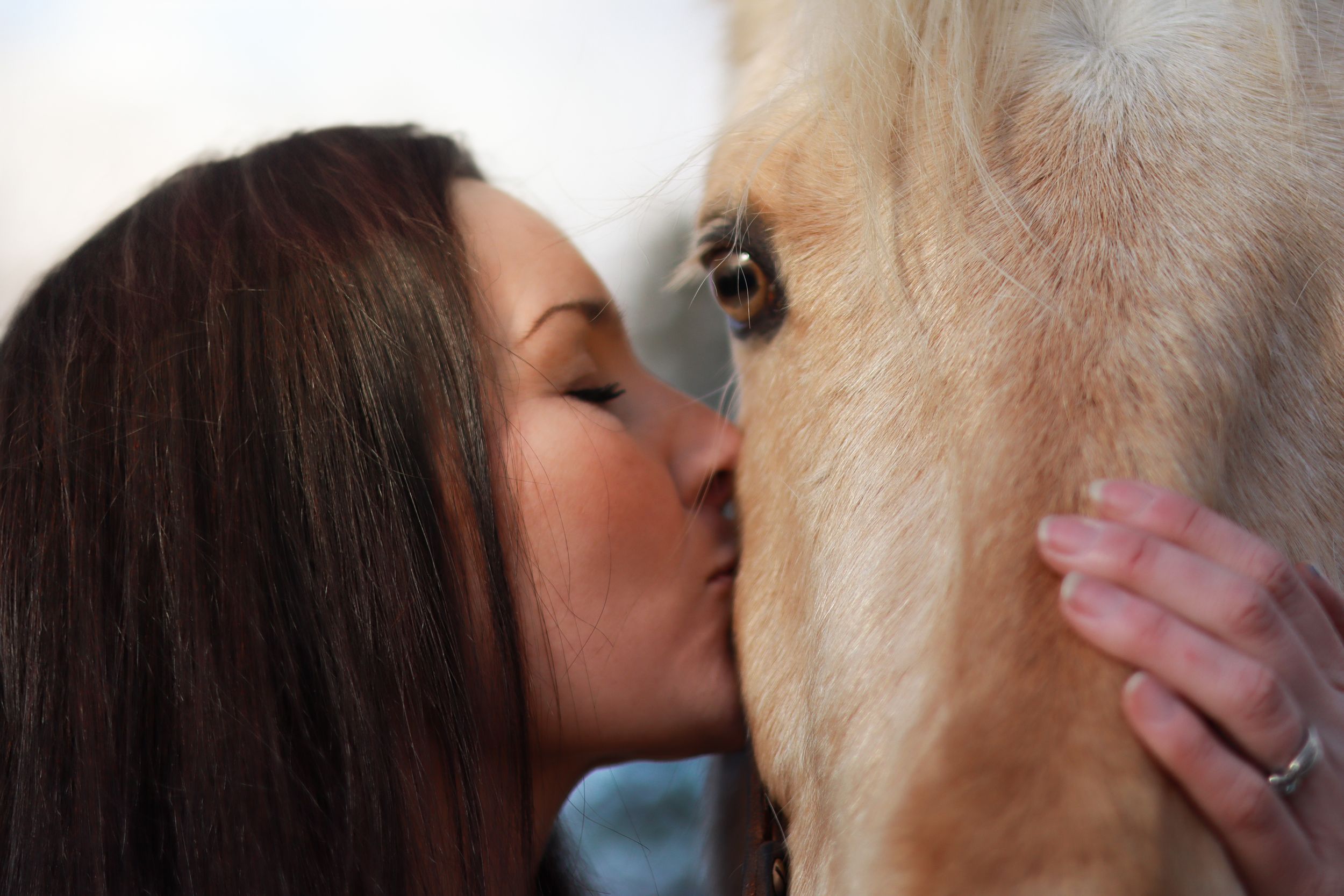 Woman kissing white horse on nose in intimate close-up shot.