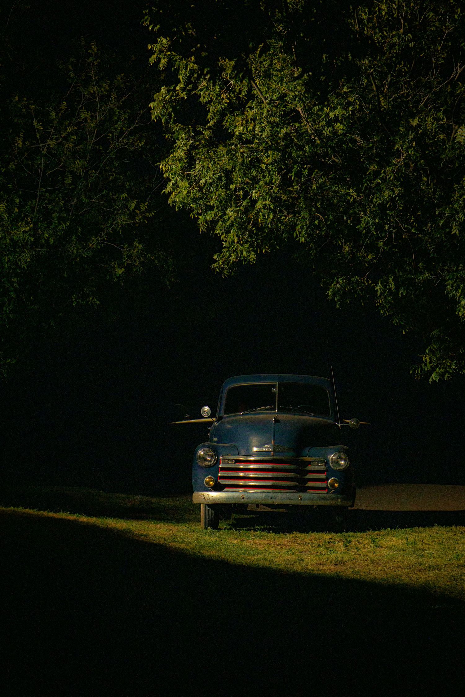 A car surrounded by darkness, leaves hanging above, a field of grass