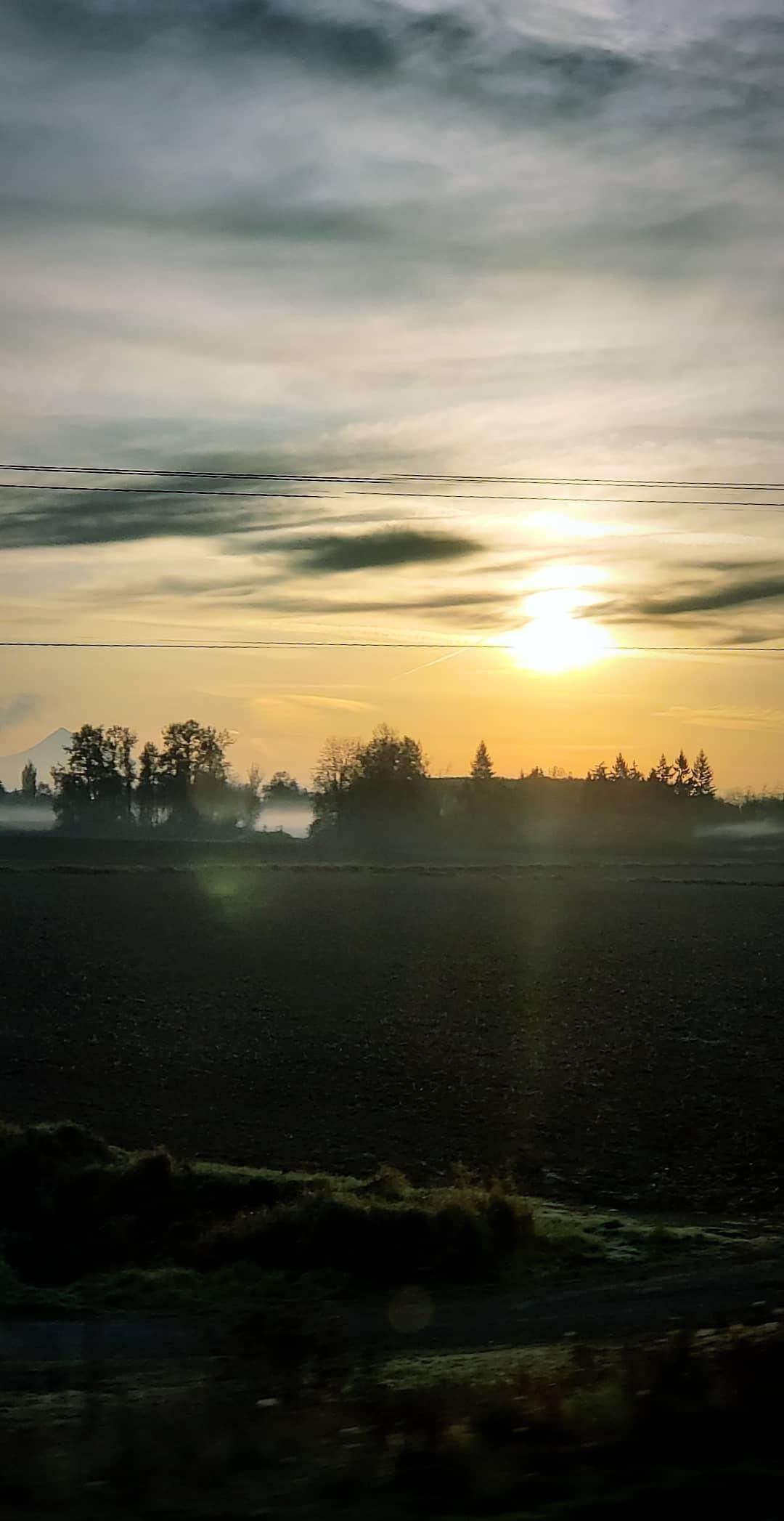 Sun setting behind farmland with misty fields and silhouettes of trees.