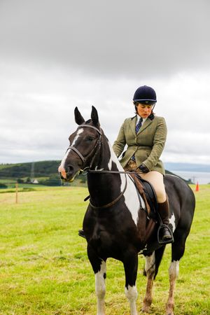 horse and human at show