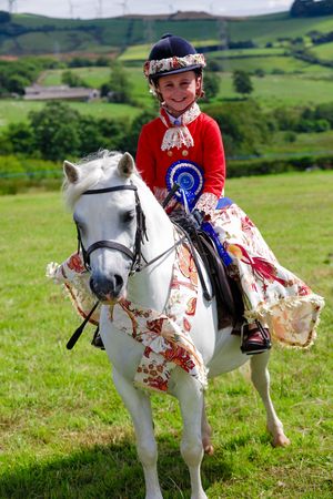 2st please horse and human at show