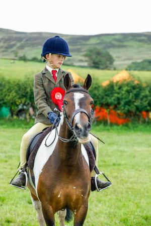 1st please horse and human at show