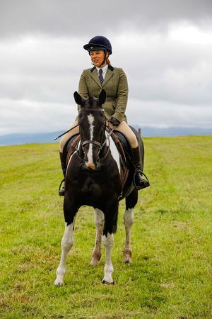 horse and human at show